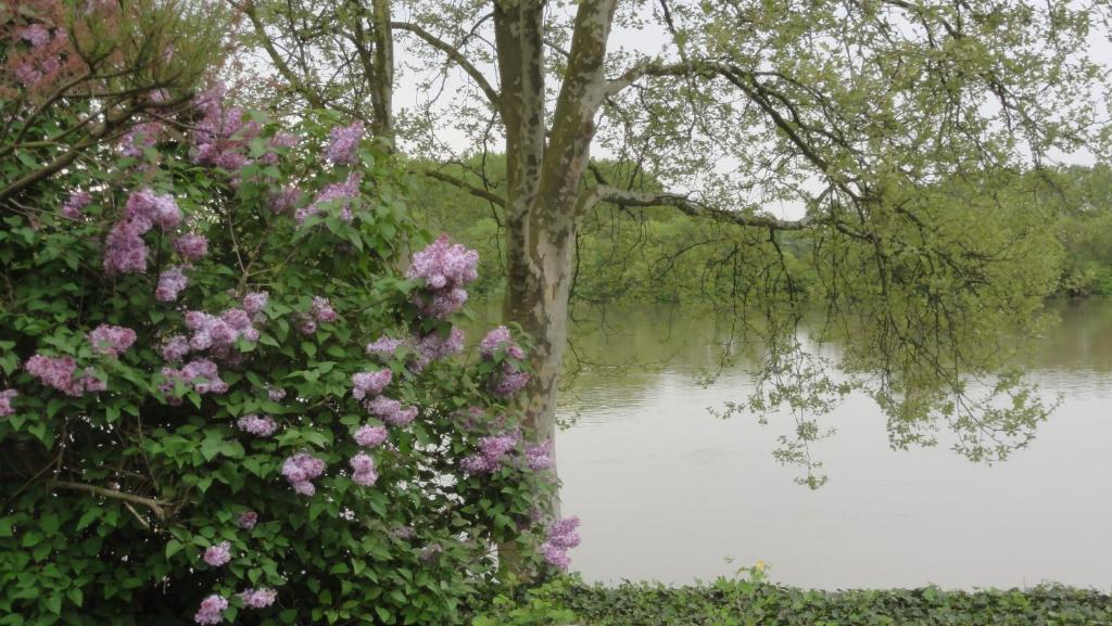 Chambre D'Hotes Au Fil De L'Eau Saint-Martin-Belle-Roche Eksteriør bilde